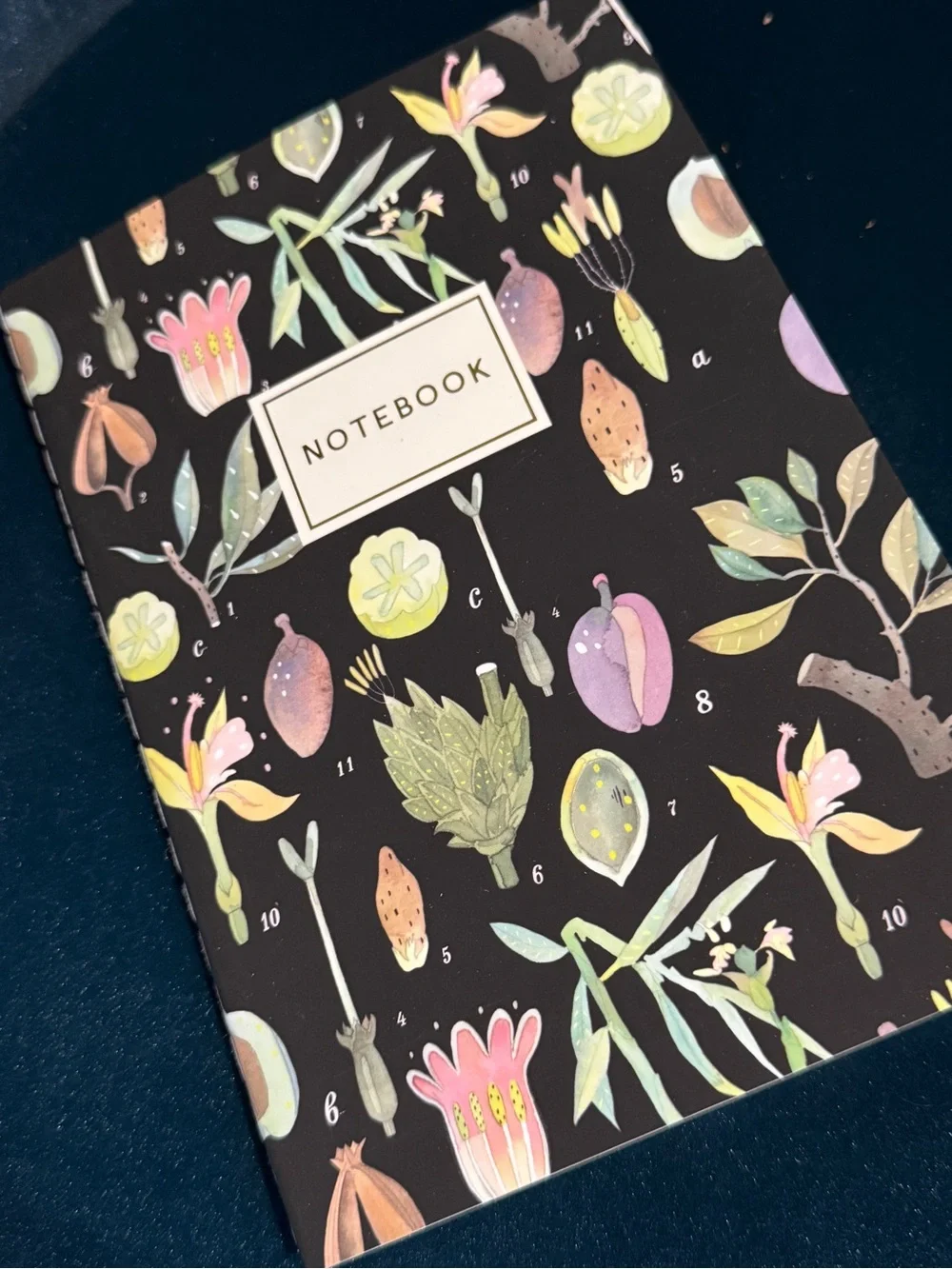 BV By Bruno Visconti Soft Touch Botany Journal A5